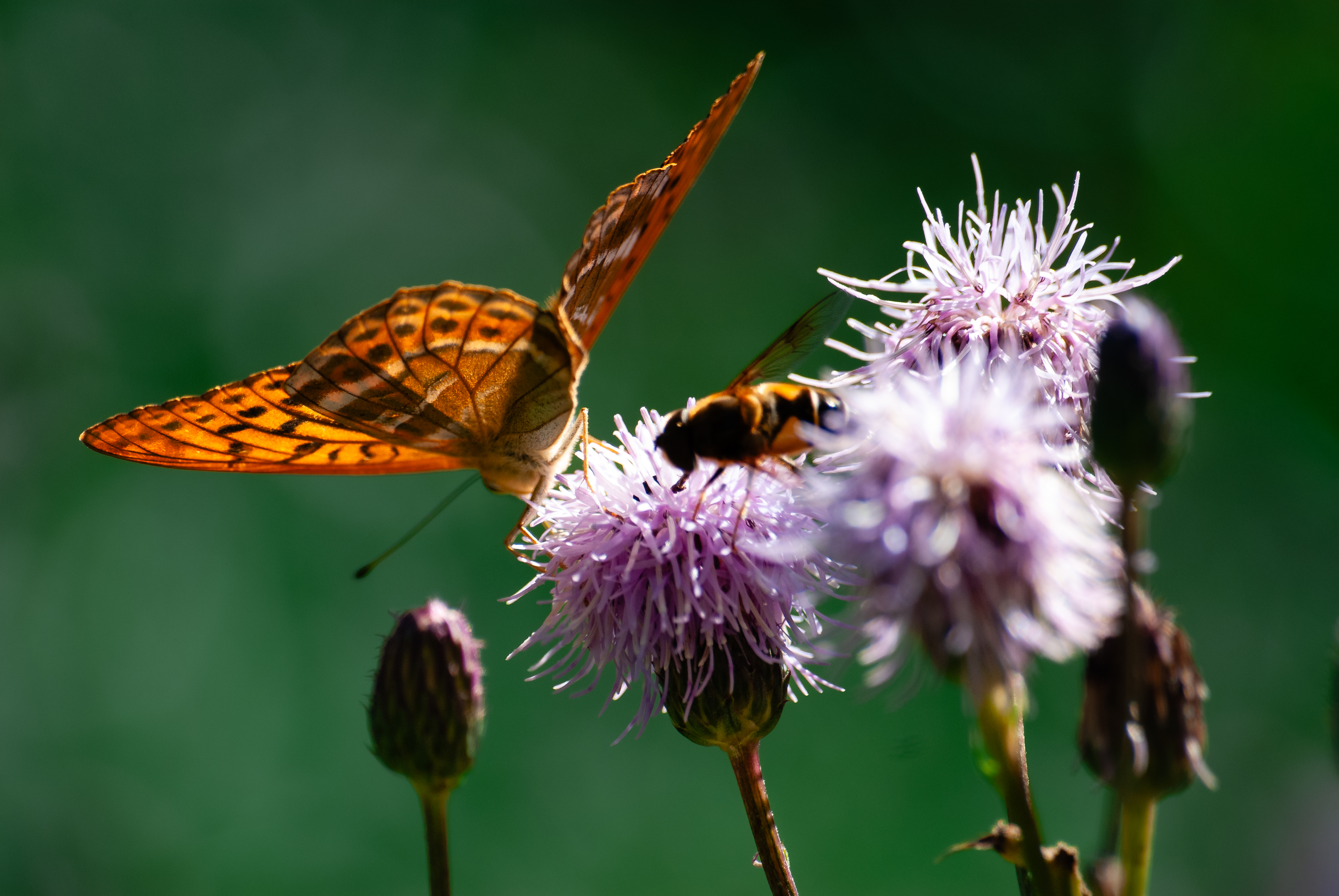 Ausflug Aying - 02343